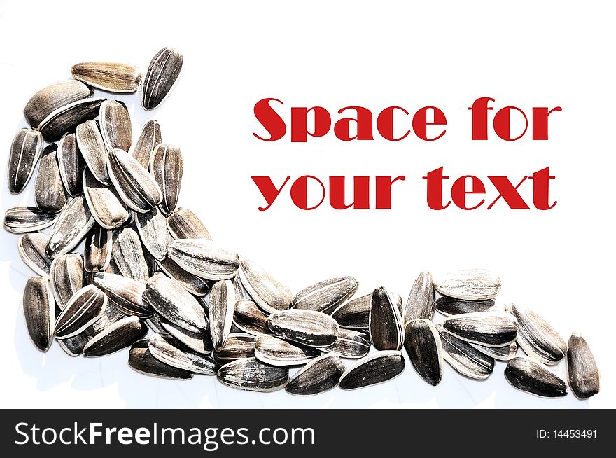 Picture shows a sunflower seed scattered on a white background with space for free text.