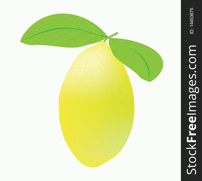 Illustration of the whole, juicy lemon with two leaves