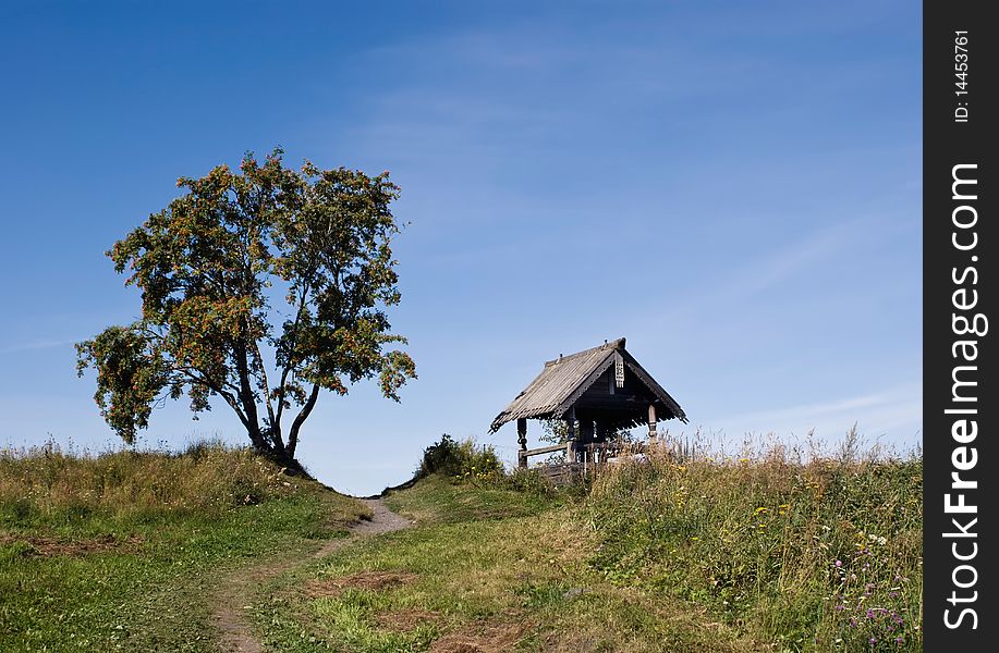 Summer landscape with a lone tree in a field. Summer landscape with a lone tree in a field