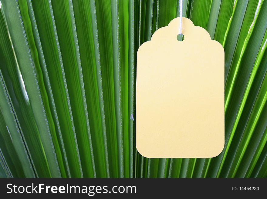 The branch of a palm tree as a background on which hangs a label. The branch of a palm tree as a background on which hangs a label.