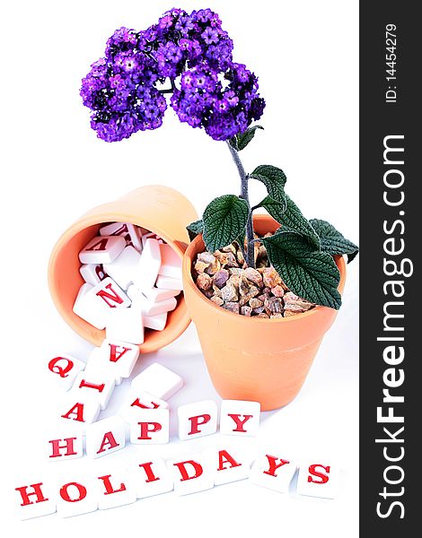 Flower in a ceramic pot, nearby from a similar pot letters get enough sleep and develop in inscription Happy Holidays.