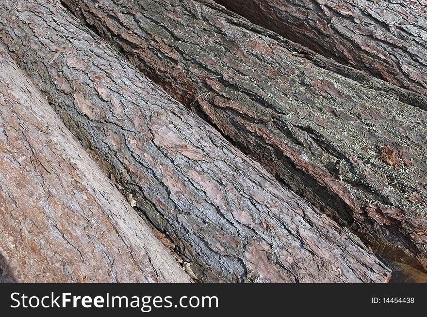 Cut wood. Texture of felled spruce stems. Cut wood. Texture of felled spruce stems.