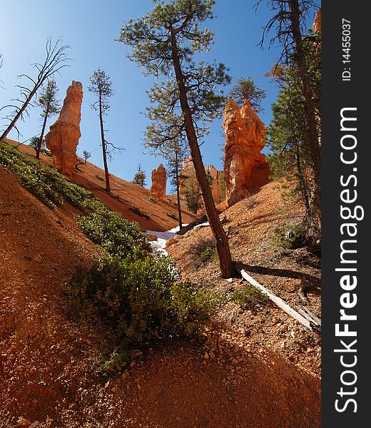 View of hoodoos and cliffs from the base of Bryce canyon. View of hoodoos and cliffs from the base of Bryce canyon