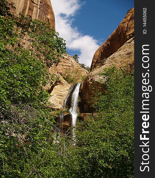 Lower calf falls from along the lower calf creek trail Escalante, Ut. Lower calf falls from along the lower calf creek trail Escalante, Ut