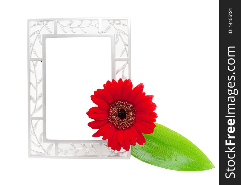 Frame for photo with leaf and flower. Frame for photo with leaf and flower