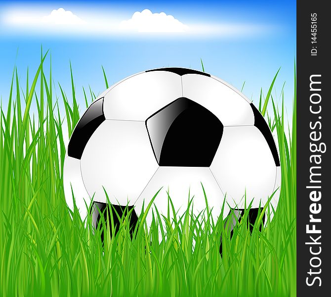 Classic Soccer Ball In Grass. Vector