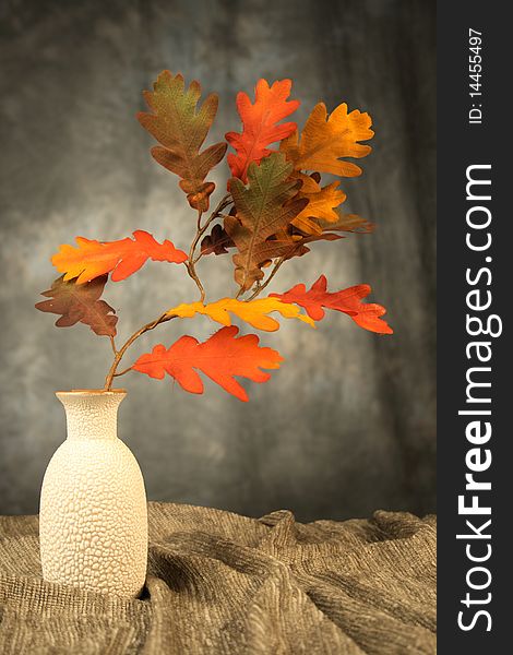 Autumn colored oak branch in vase, studio shot