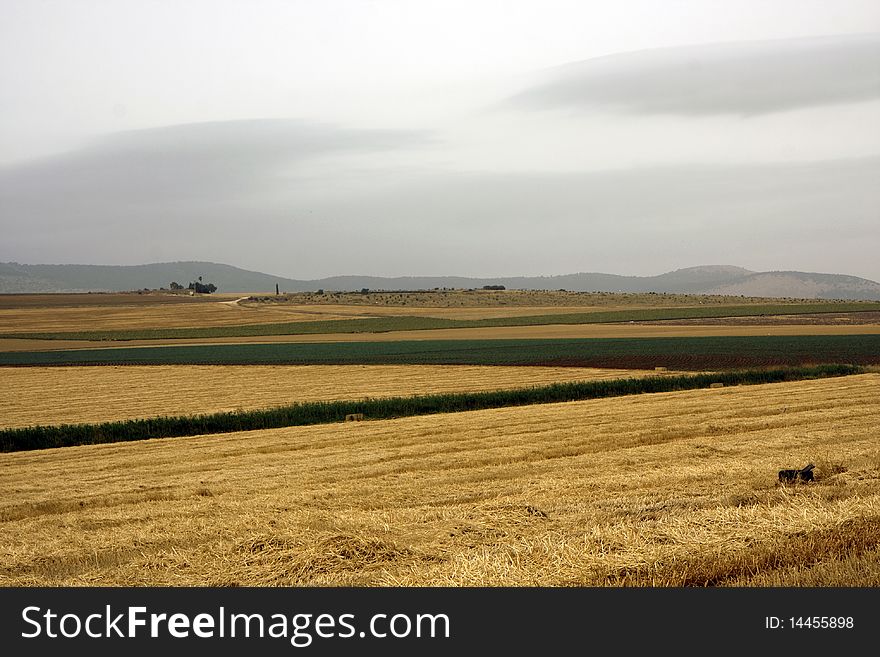 Landscape with rural field