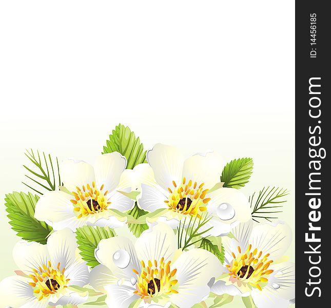 Floral Illustration With Place For