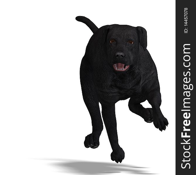 Labrador Retriever Dog. 3D rendering with clipping path and shadow over white