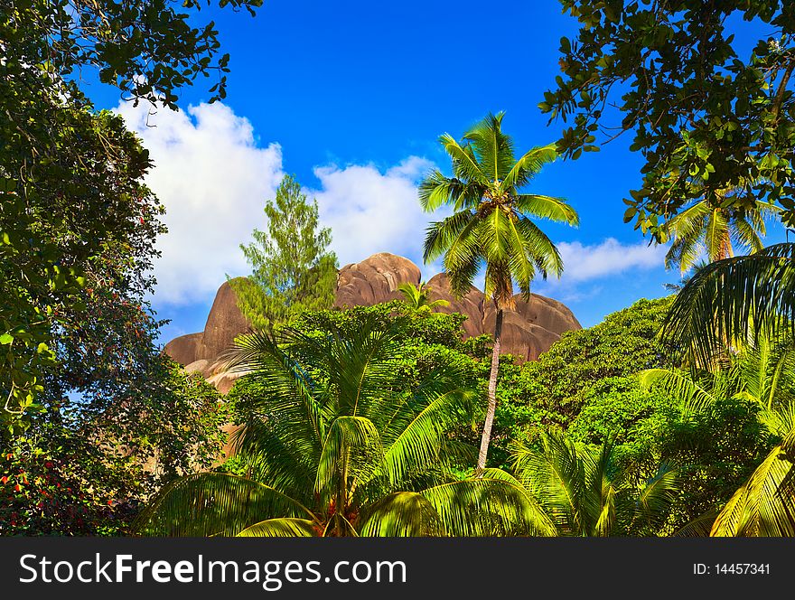 Tropical landscape at Seychelles - vacation background