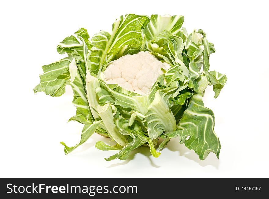 Cauliflower Isolated on white background