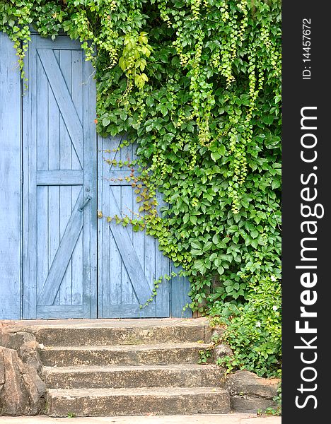 A wooden blue color door and stage in garden with green liane plant covered, shown as quiet and leisure style. A wooden blue color door and stage in garden with green liane plant covered, shown as quiet and leisure style.