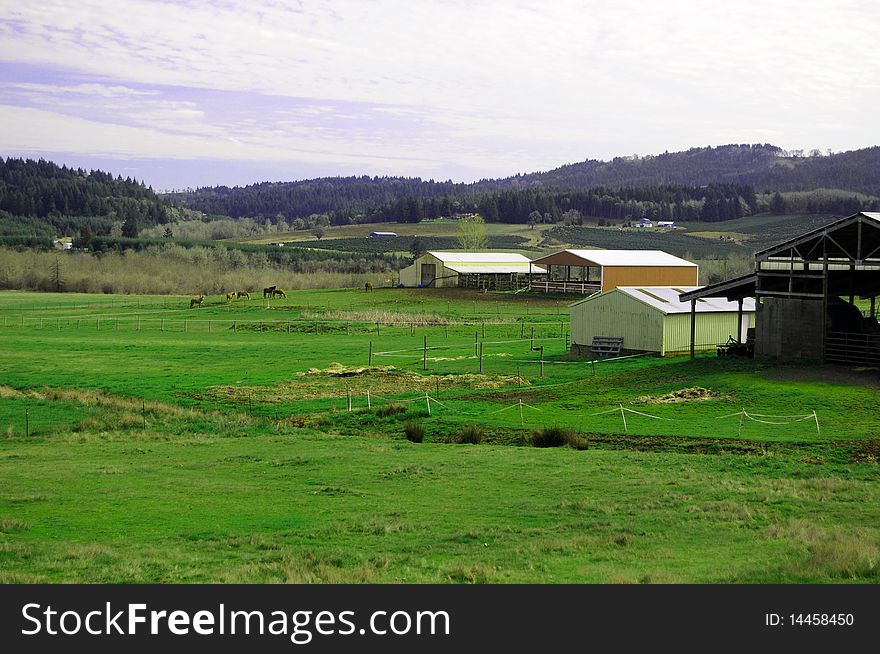 Grass farm land with horses and barns with mountains in the background