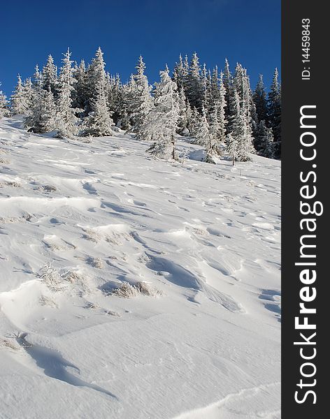 Winter snow hillside against the dark blue sky.