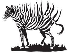 Zebra Abstract Stock Images
