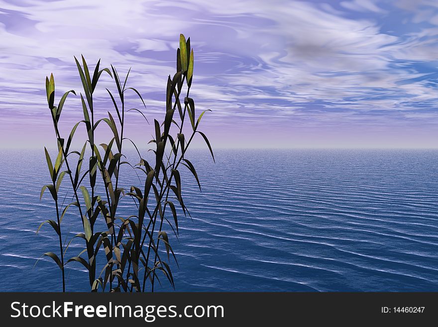 Bamboo plants against a background of the sea. Bamboo plants against a background of the sea.