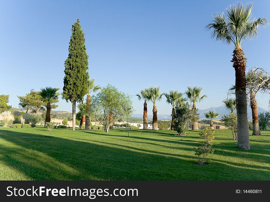 Ornamental garden, lawn, palm trees, blue sky, sunshine, long shadow