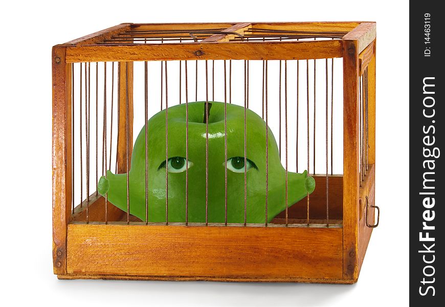 Apple, prisoner in the cage