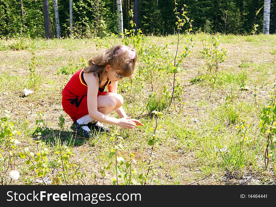 The young girl in red clothes on the nature catches in the spring the butterfly. The young girl in red clothes on the nature catches in the spring the butterfly