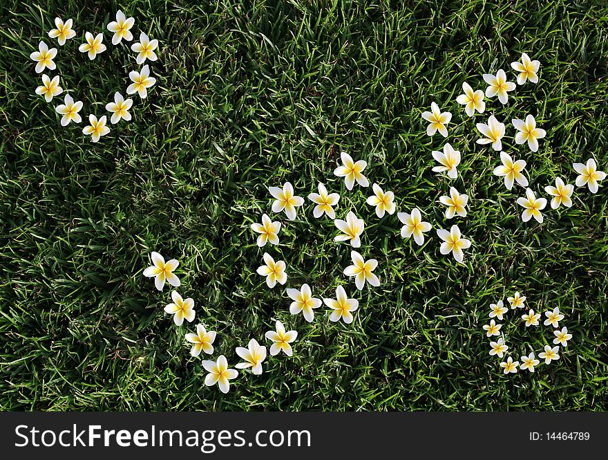 Flowers on a grass lay out a word love! A declaration of love