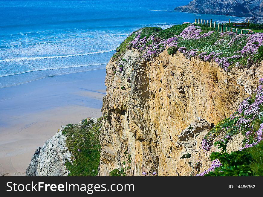 A beautiful rock face with natural wildflowers along the cornish coast near Newquay. A beautiful rock face with natural wildflowers along the cornish coast near Newquay.