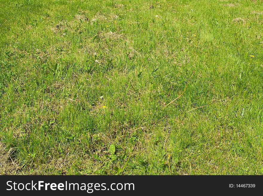 Fields with mowed grass on a summer day. Background, texture. Fields with mowed grass on a summer day. Background, texture