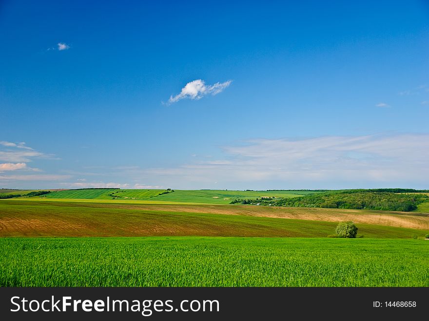 Nice sunny weather at spring countryside landscape