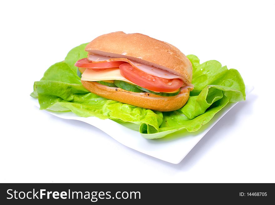 Big and tasty sandwich on a white plate