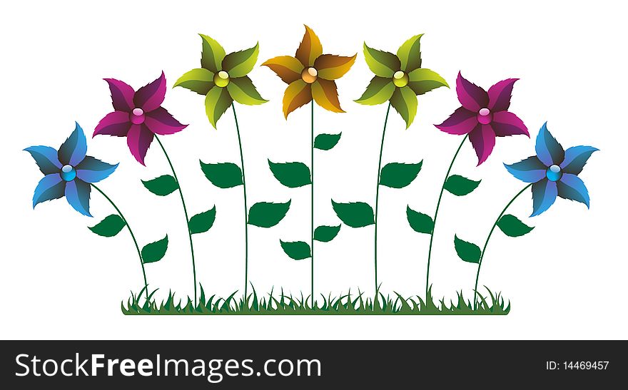 Bright wild flowers on a white background