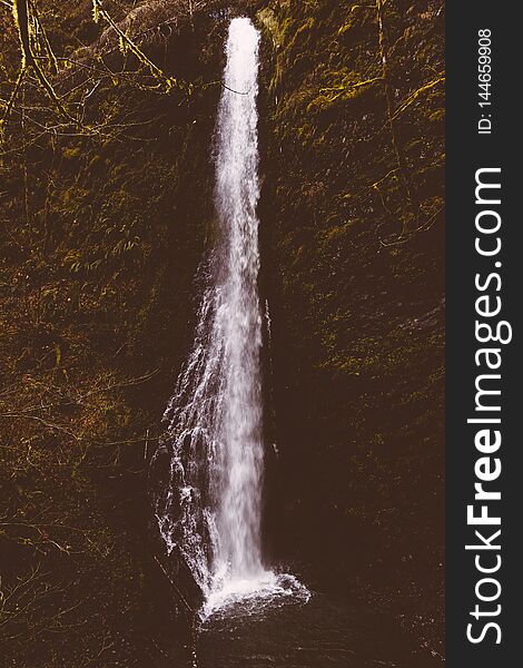 Beautiful Shot Of A Waterfall In The Forest Surrounded By Tall Trees