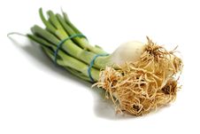 Spring Onion Stock Photography Spring Onion Stock Photography
