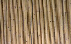 Bamboo Texture Stock Photo Bamboo Texture Stock Photo
