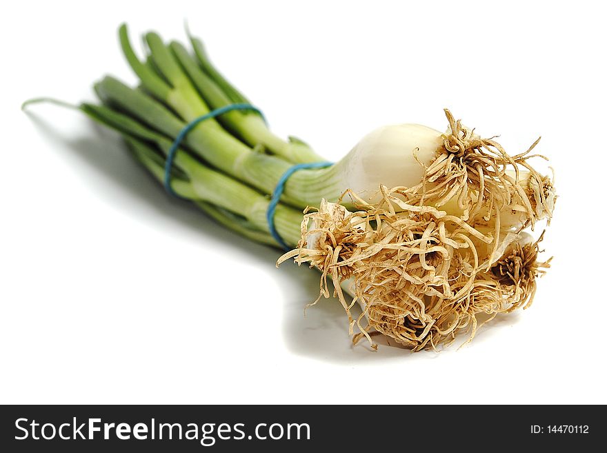 Bunch of spring onions isolated on white background