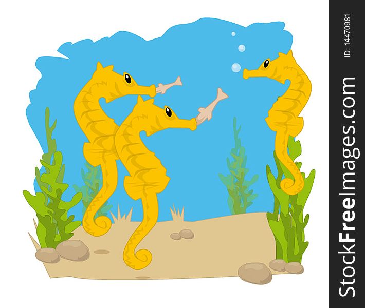 Digital Illustration of sea horses. Digital Illustration of sea horses