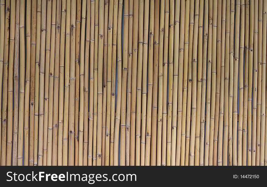 Bamboo fence as texture with parallel sticks. Bamboo fence as texture with parallel sticks