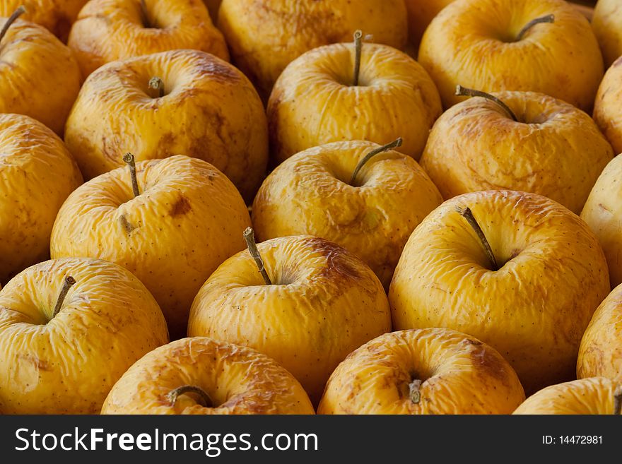 A rotting diseased yellow apples. A rotting diseased yellow apples