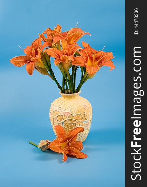 Bouquet of day-lily flowers on a blue background