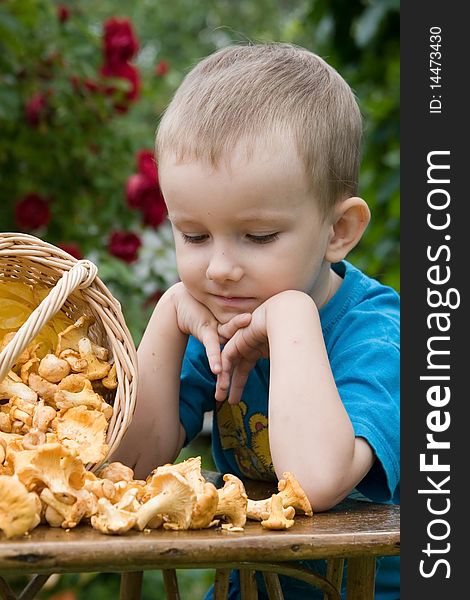 Boy with mushrooms outdoors in the summer