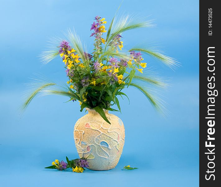 Beautiful bouquet of wild flowers on a blue background