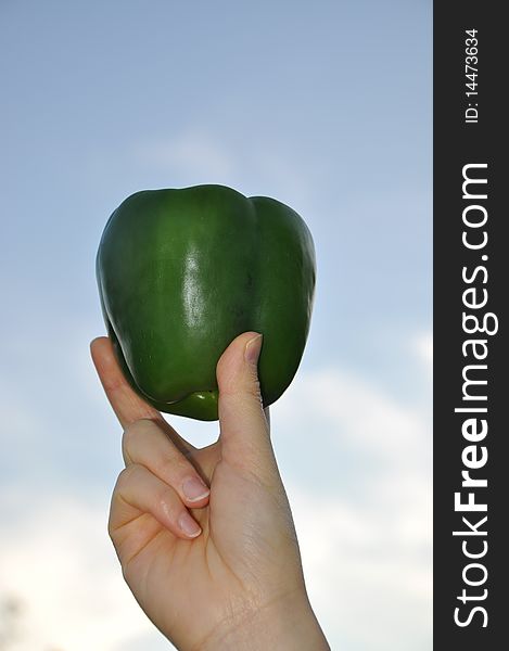 Person hold a green pepper with blue sky