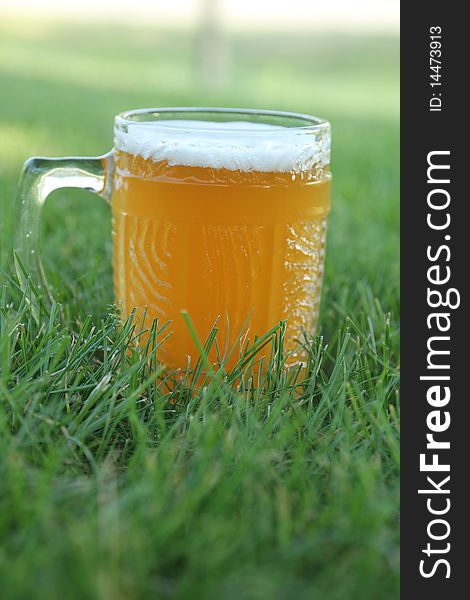 Mug Of Beer On Lawn