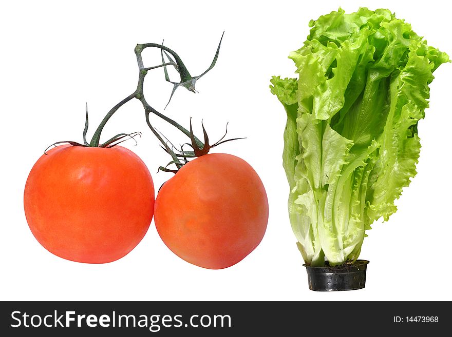 Two tomatoes and lettuce in a pot under the white background