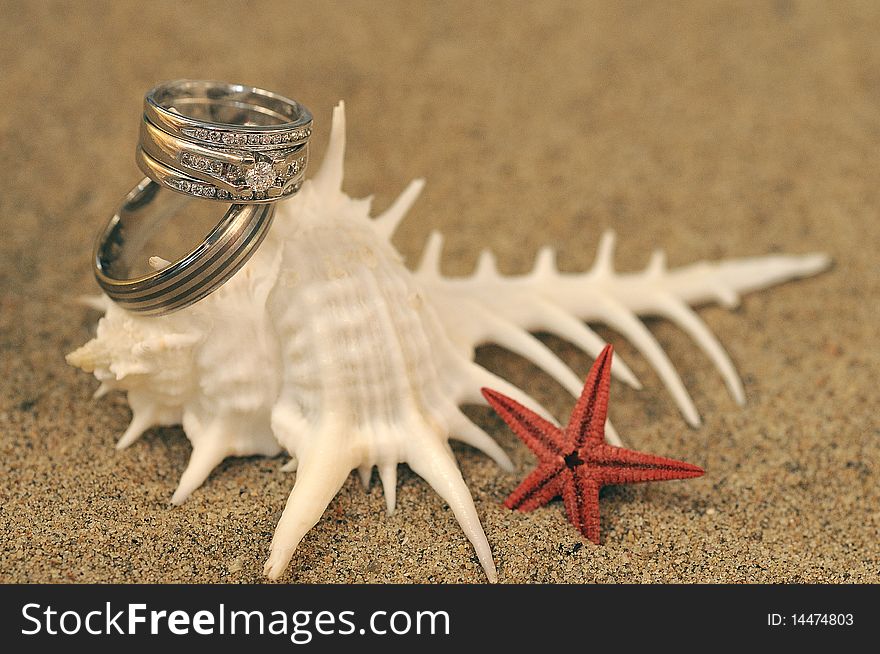 Wedding rings displayed hanging on a seashell with a red seastar