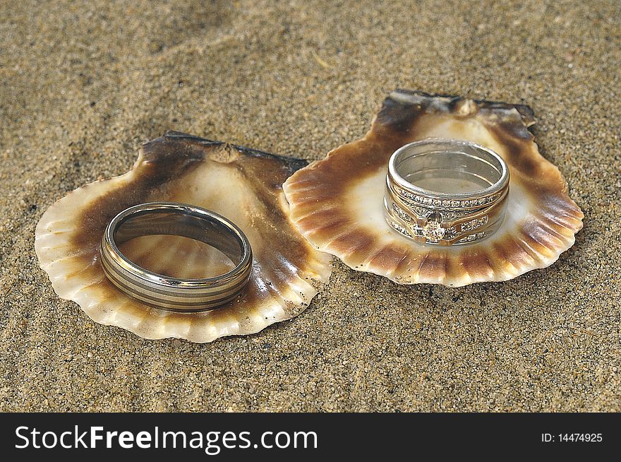 Wedding rings displayed in seashells