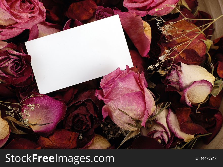 Empty card for your message on romantic dried roses background. Empty card for your message on romantic dried roses background