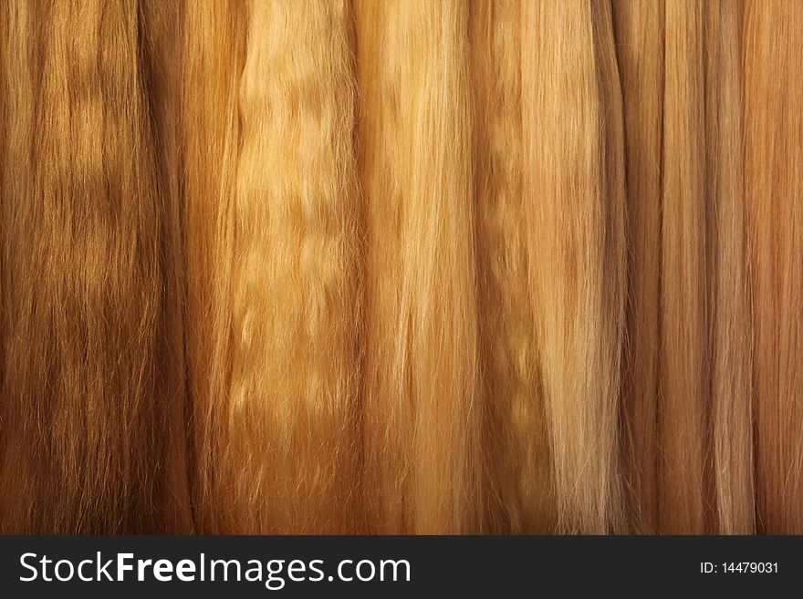 Image of womanish light hairs.