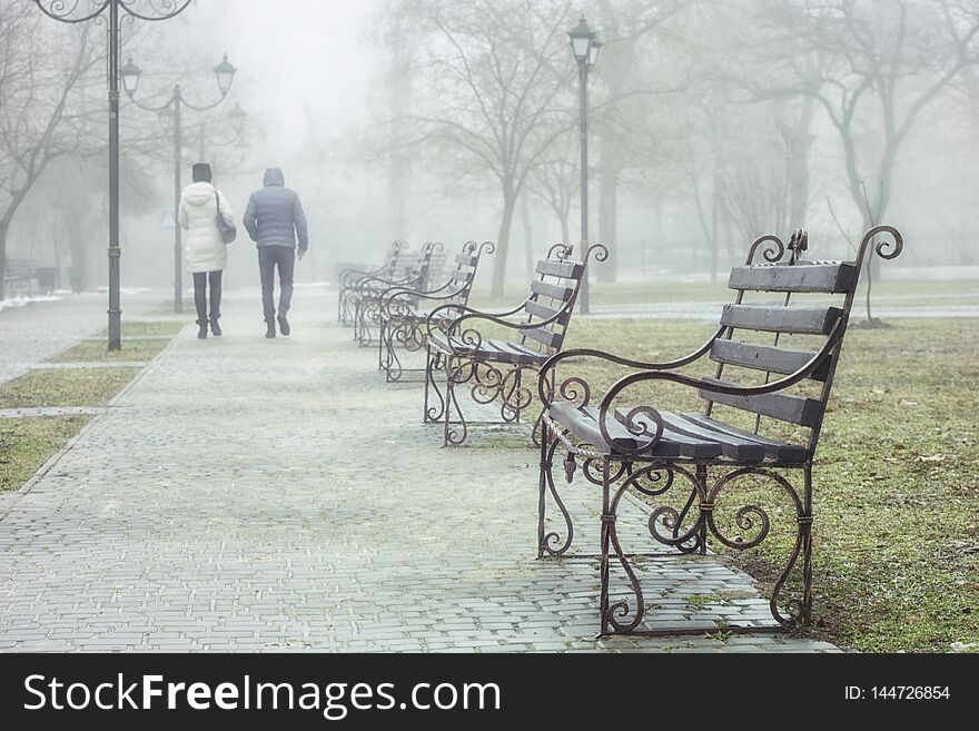 A couple of young people walking in the park in early spring. The weather is foggy
