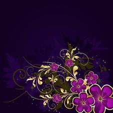 Floral Background With Stars Stock Images Floral Background With Stars Stock Images