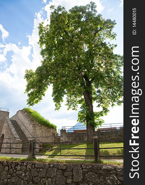 Nearly Spring in a Garden of the Fortress of Kufstein